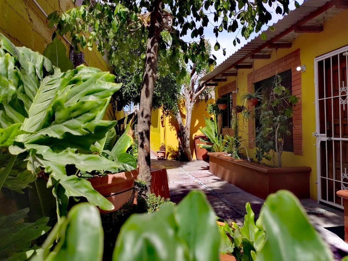 ラパスCasa Caracolesアパートメント エクステリア 写真